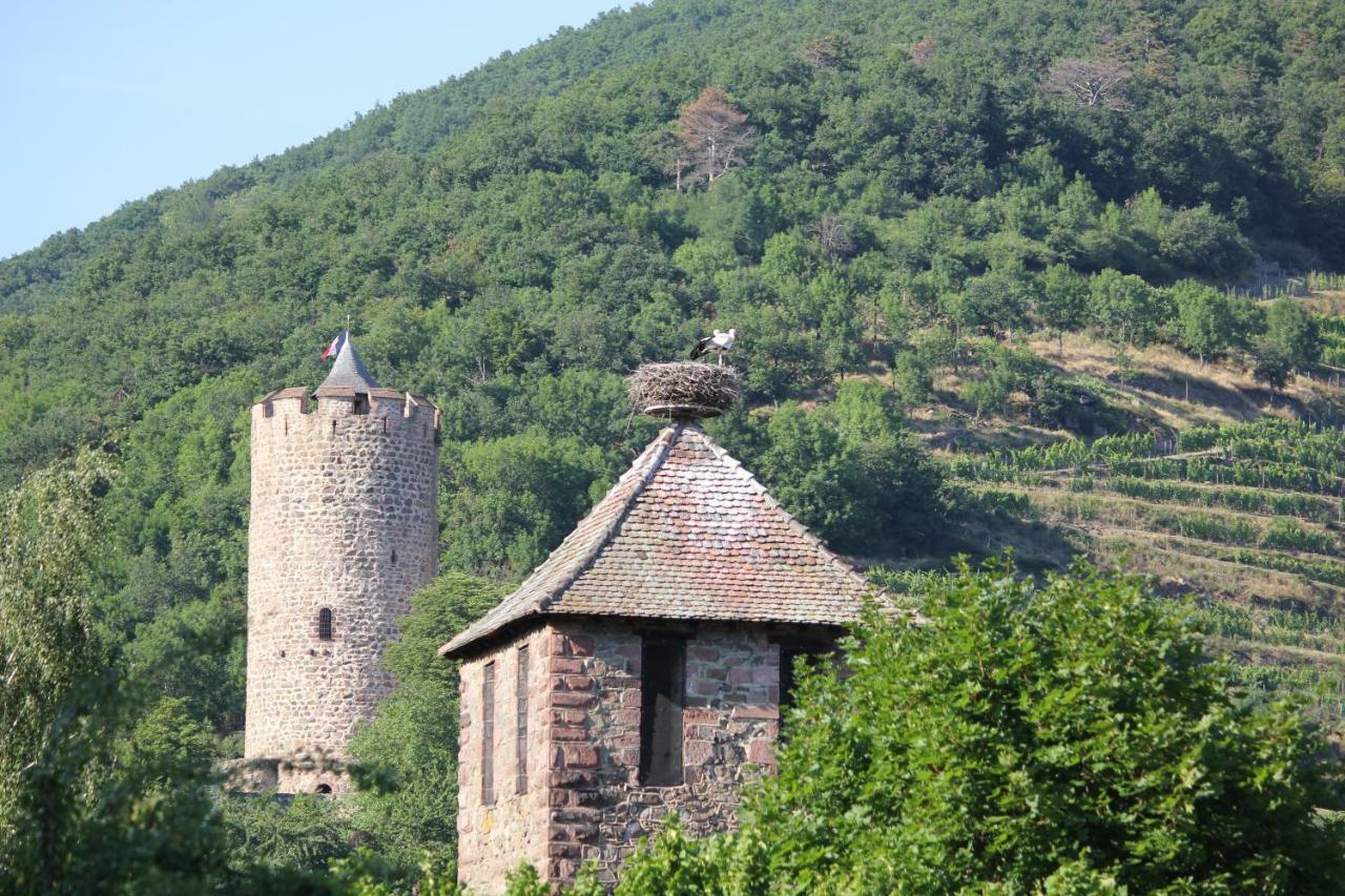Gite Des 5 Cigognes Rouge Mittelwihr Exterior photo